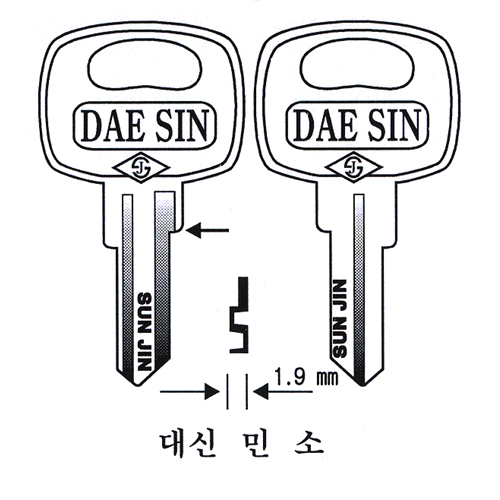 대신민소
