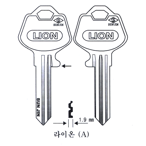 라이온(A)