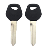 대만 오토바이(좌)