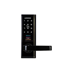 에버넷 L990 (카드)